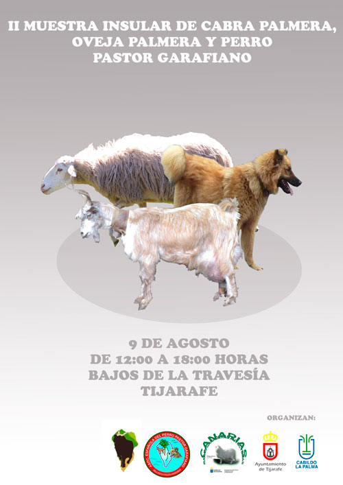 II muestra ganadera Tijarafe