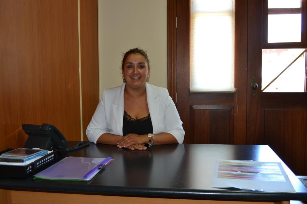 saray web